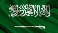 ما هو نظام الحكم في المملكة العربية السعودية؟! نصوص مواد نظام الحكم السعودي
