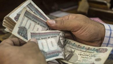لينك الاستعلام عن منحة العمالة غير المنتظمة 2025 بالرقم القومي وقيمة الصرف الأخيرة